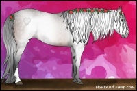 Horse Color:Gray Bay 