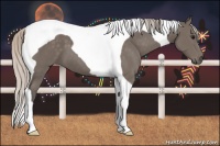 Horse Color:Silver Black Tobiano 
