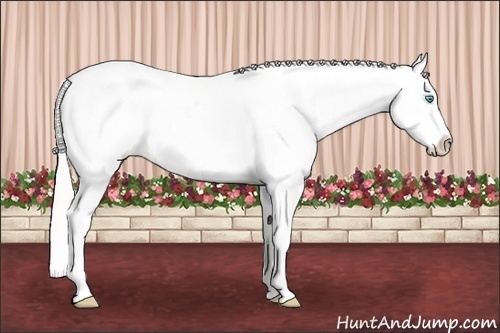 Horse Color: White Spotted Perlino Sabino Snowcap 