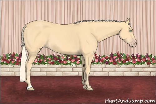 Horse Color: Gold Cream Champagne 