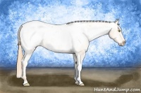 Horse Color:Gold Champagne Tobiano Near Fewspot 