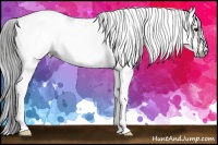 Horse Color:Gray White Spotted Smoky Black Ice Tobiano