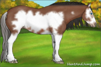 Horse Color:Bay Roan Sabino Splash Frame