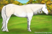 Horse Color:Silver Classic Cream Champagne Pearl Splash 