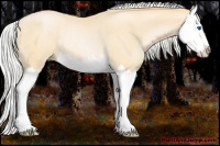 Horse Color:Silver Smoky Black Pearl Splash Rabicano