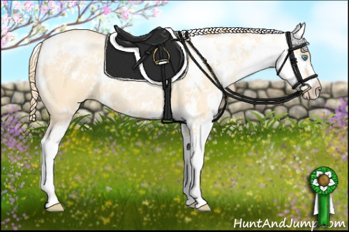 Horse Color:Buckskin Pearl Dun Sabino 