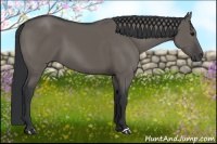 Horse Color:Grullo 
