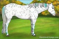 Horse Color:Watercolor Buckskin Dun Near Leopard 