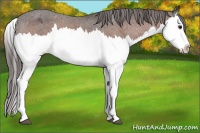 Horse Color:Brown Splash Varnish 