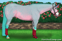 Horse Color:Watercolor Buckskin 