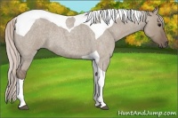 Horse Color:Silver Grullo Roan Tobiano 