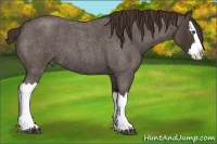 Horse Color:Liver Red Roan Splash 