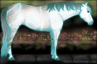 Horse Color:Gray Thunderstruck Chestnut Sabino 