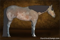 Horse Color:Bay Ice 