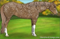 Horse Color:Chocolate Palomino Ice 