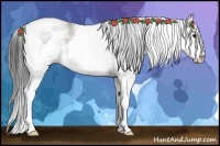 Horse Color:White Spotted Grullo Roan Splash 