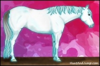 Horse Color:Gray Thunderstruck White Spotted Chestnut 