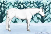 Horse Color:Gray Silver Sable Champagne Dun Splash Frame Blanket 