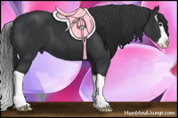 Horse Color:Black Splash