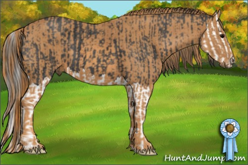 Horse Color: Black Splash  Brindle