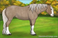 Horse Color:Silver Smoky Blue Roan Splash 