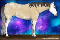 Horse Color:Buckskin Ice Splash 