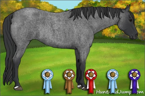 Horse Color:Brown Roan Rabicano 