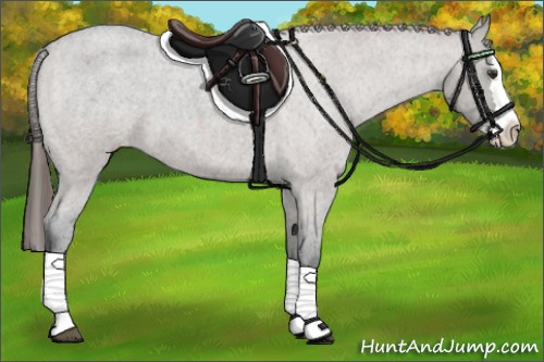 Horse Color:Grullo Roan Splash Appaloosa 