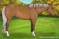 Horse Color:Silver Buckskin 