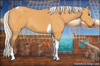 Horse Color:Silver Buckskin Sabino Tobiano 
