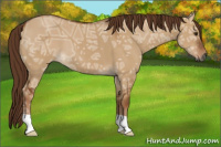 Horse Color:Gray Red Dun Ice 
