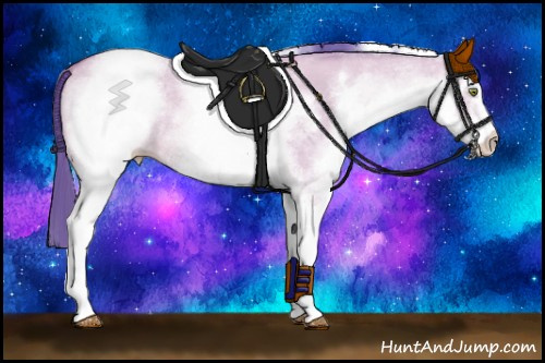 Horse Color: Watercolor White Spotted Amber Champagne Roan Dun 