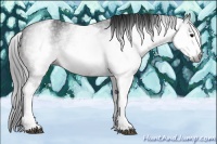 Horse Color:Gray White Spotted Brown