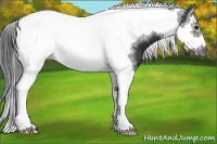 Horse Color:Black Splash Tobiano Frame