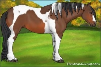 Horse Color:Bay Tobiano