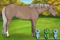 Horse Color:Silver Black Sabino 