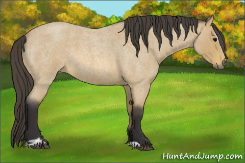 Horse Color: Buckskin Roan Sabino 