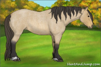 Horse Color:Buckskin Roan Sabino 
