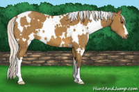 Horse Color:White Spotted Silver Buckskin 