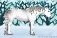 Horse Color:Gray Silver Black Ice Splash 