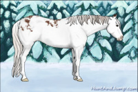 Horse Color:Silver Brown Sabino Splash 