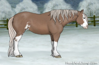 Horse Color:Silver Black Sabino Splash