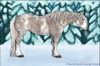 Horse Color:White Spotted Silver Black Ice Sabino Splash