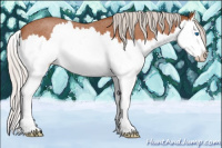 Horse Color:Silver Bay Roan Splash 