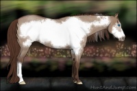 Horse Color:Liver Red Dun Roan Frame 