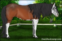 Horse Color:Brown Splash 