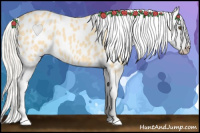 Horse Color:Palomino Dun Blanket Rabicano 