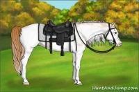 Horse Color:White Spotted Red Roan Splash 