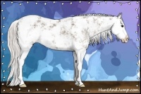 Horse Color:Silver Black Ice Sabino 