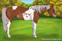 Horse Color:Silver Bay Tobiano 